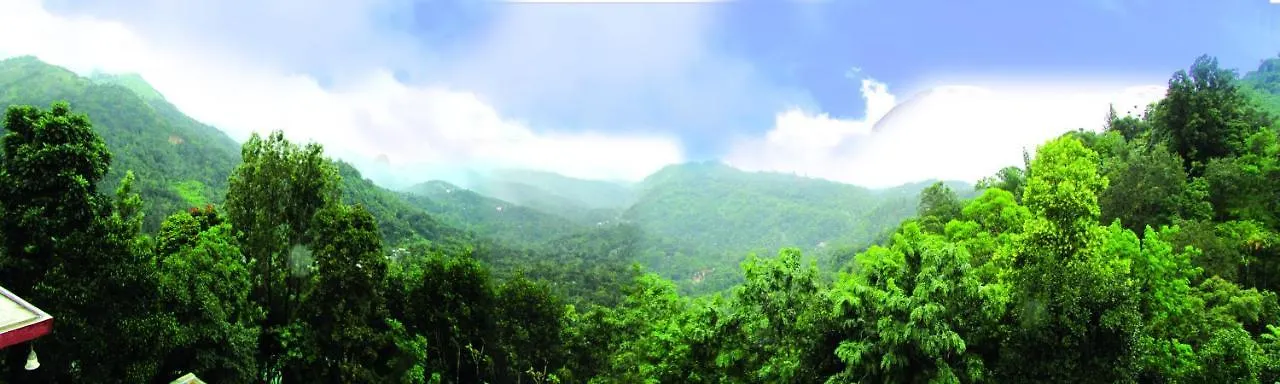 Green Trees Munnar Resort